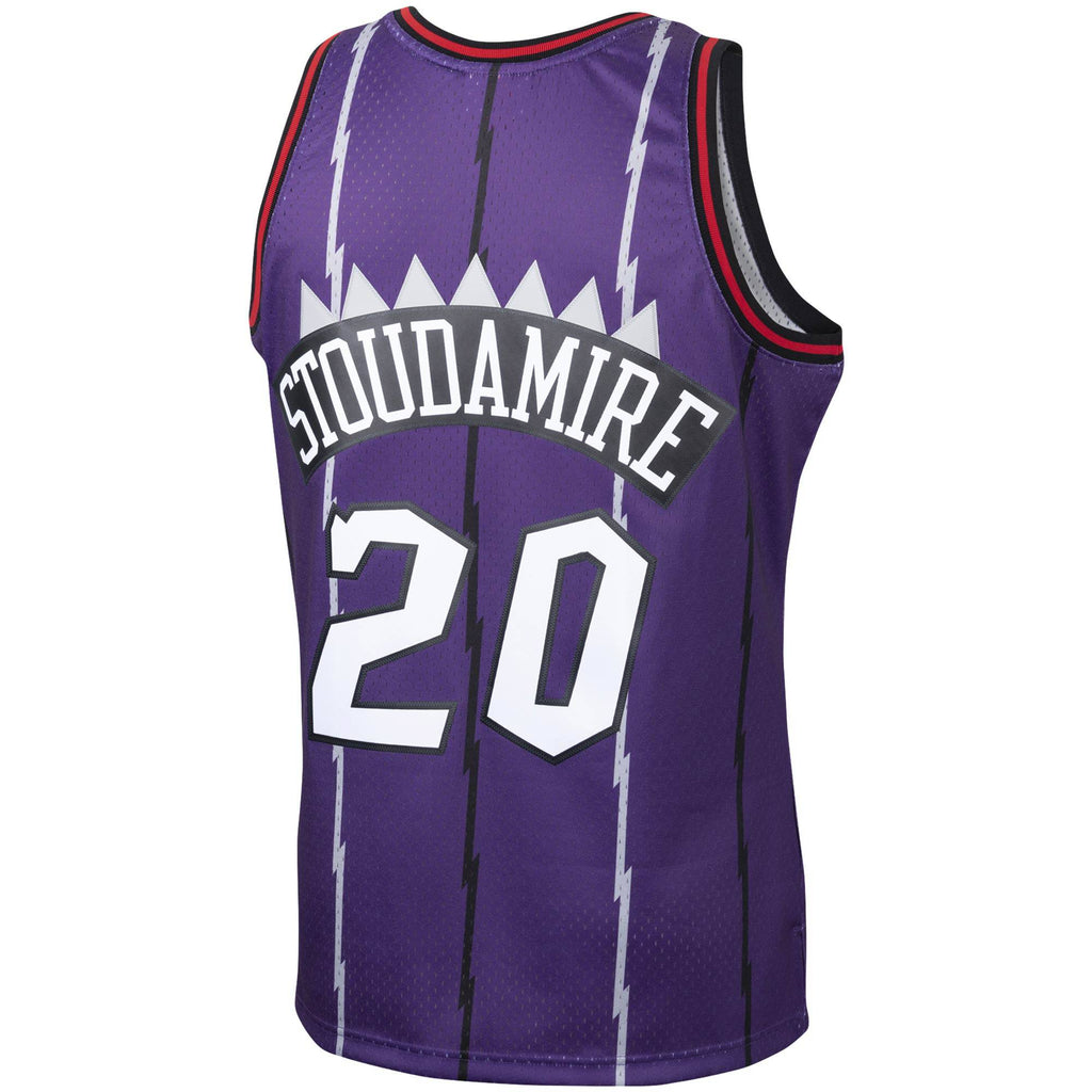 Damon Stoudamire Toronto Raptors Mitchell & Ness 1995-96 Hardwood Classics Swingman Jersey - Purple for Men product image 3,