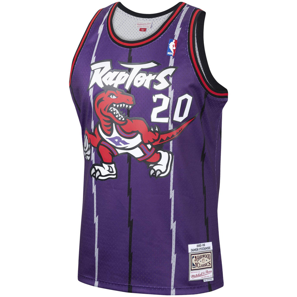 Damon Stoudamire Toronto Raptors Mitchell & Ness 1995-96 Hardwood Classics Swingman Jersey - Purple for Men product image 2,
