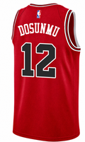 Chicago Bulls Ayo Dosunmu Red Nike Swingman Icon Jersey product image 1, provided for visual reference and product detail