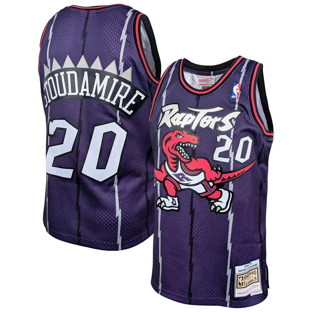 Damon Stoudamire Toronto Raptors NBA Mitchell & Ness Men Purple 1995-96 Hardwood Classics Swingman Jersey product image 1,