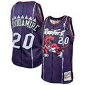 Damon Stoudamire Toronto Raptors NBA Mitchell & Ness Men Purple 1995-96 Hardwood Classics Swingman Jersey product image 1,