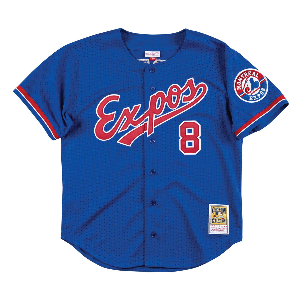 Gary Carter Montreal Expos MLB Mitchell & Ness Men Royal Blue 1992 Authentic BP Jersey product image 2, provided for visual