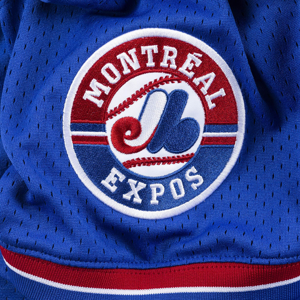 Gary Carter Montreal Expos MLB Mitchell & Ness Men Royal Blue 1992 Authentic BP Jersey product image 5, provided for visual