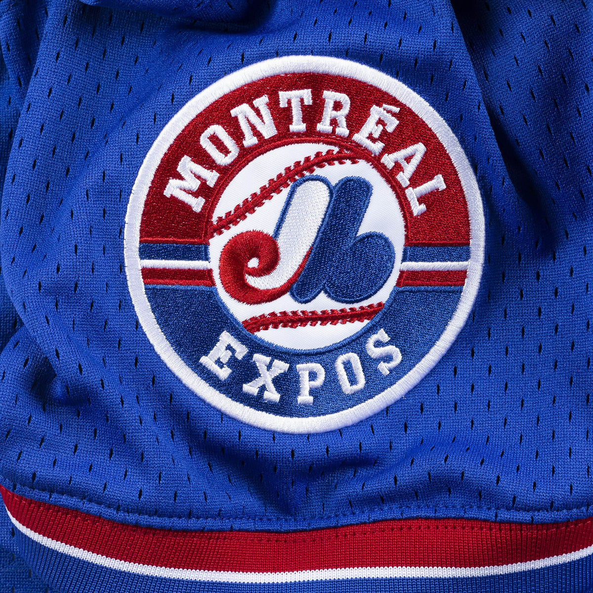 Gary Carter Montreal Expos MLB Mitchell & Ness Men Royal Blue 1992 Authentic BP Jersey product image 5, provided for visual