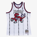 Toronto Raptors Swingman Jersey Damon Stoudamire 1995 96 | Stitched Jersey RTJS 12073 product image 1, provided for visual