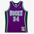 Milwaukee Bucks Swingman Jersey Ray Allen 2001 02 | Stitched Jersey RTJS 11971 product image 1, provided for visual