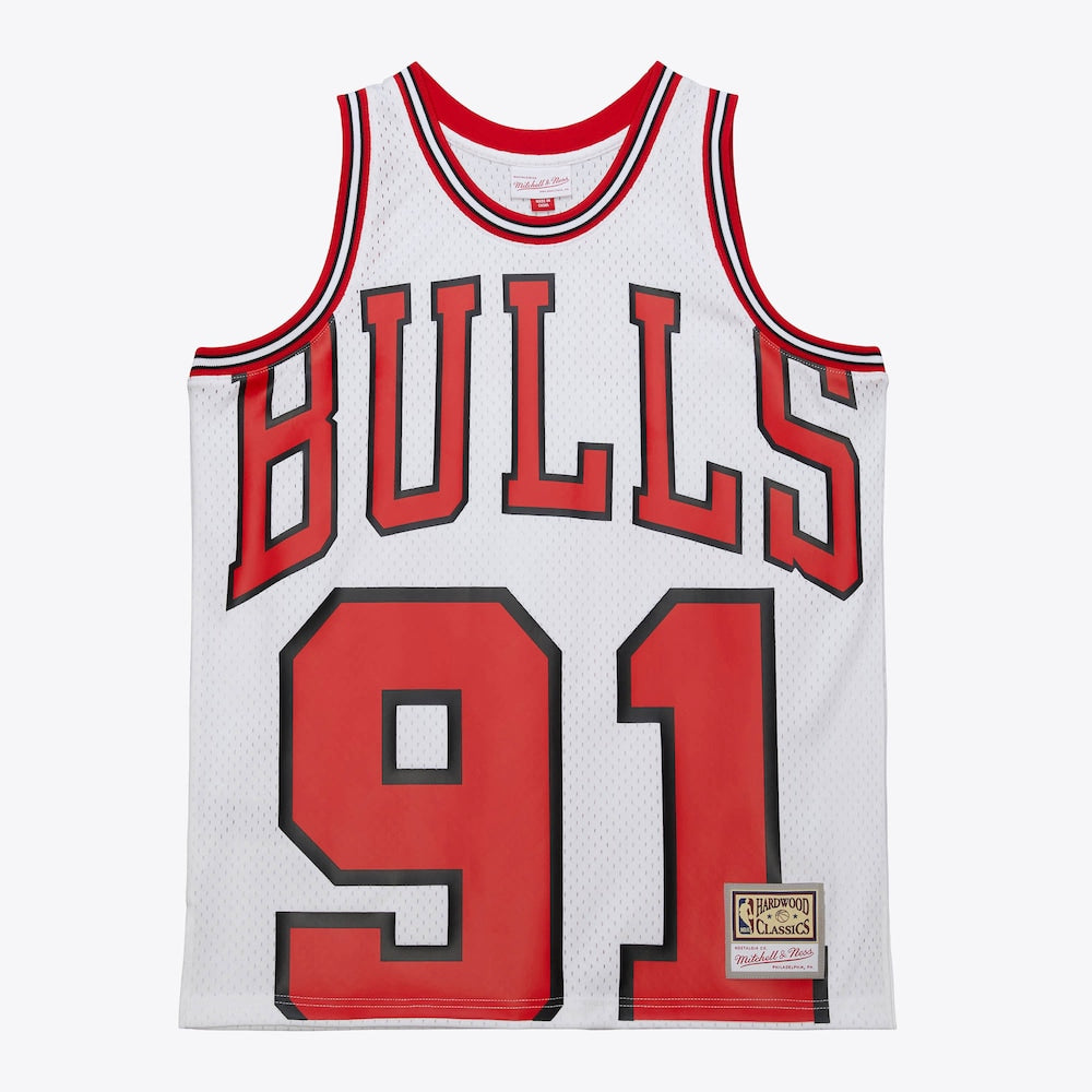 Chicago Bulls Maxxed Out Jersey 1997 Dennis Rodman | Stitched Jersey RTJS 11894 product image 1, provided for visual