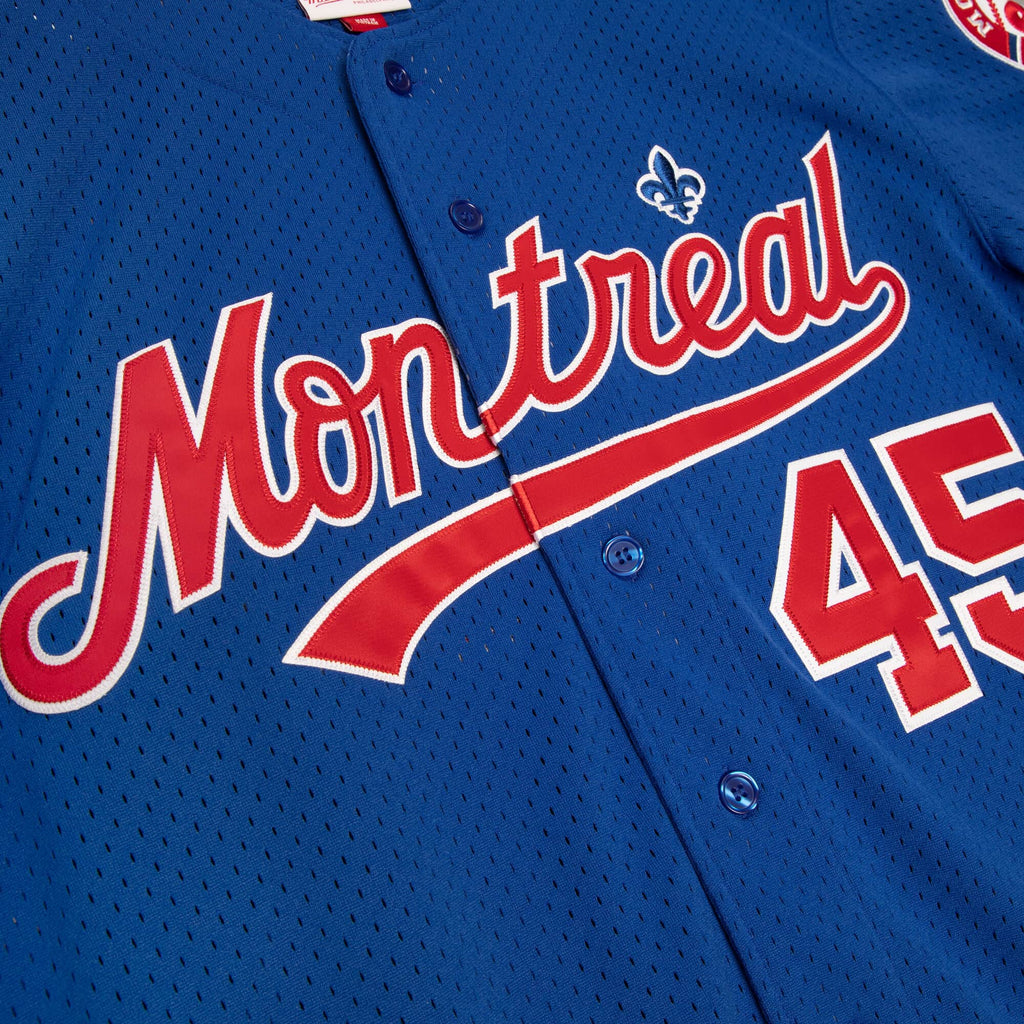 Pedro Martinez Montreal Expos MLB Mitchell & Ness Men Navy 1997 Authentic BP Jersey product image 2, provided for visual