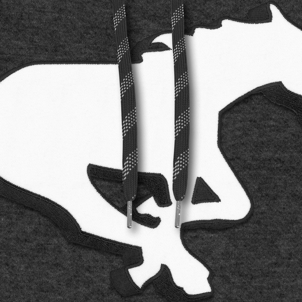 Calgary Stampeders CFL Bulletin Men Charcoal Express Twill Logo Hoodie product image 3, provided for visual reference and