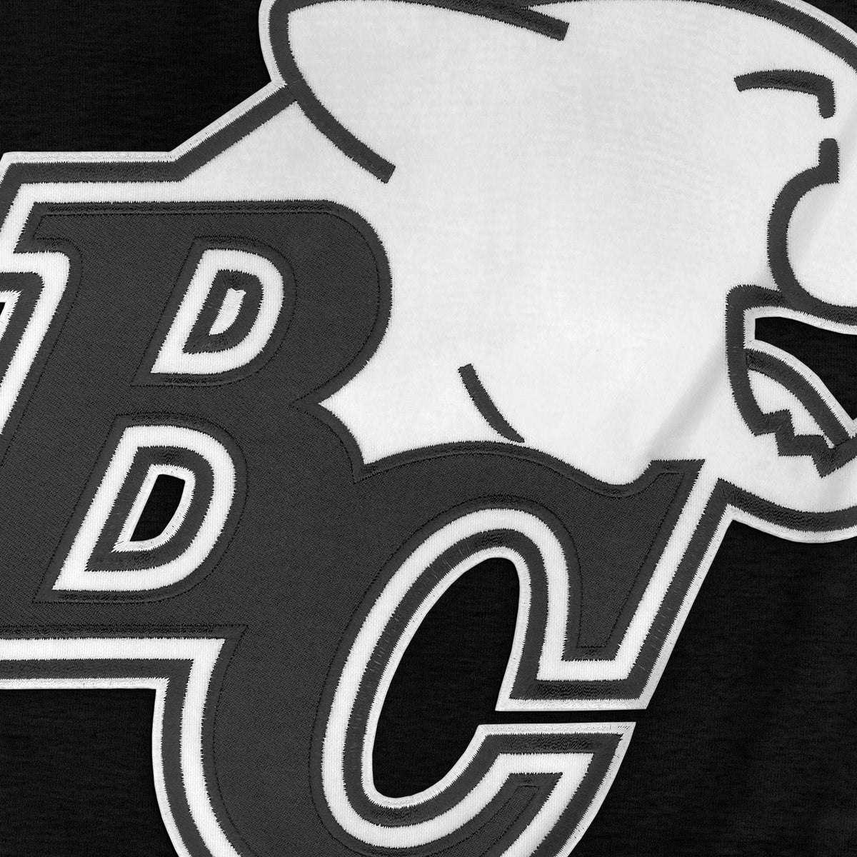 B.C Lions CFL Bulletin Men Black Shadow Express Twill Logo Hoodie product image 3, provided for visual reference and product