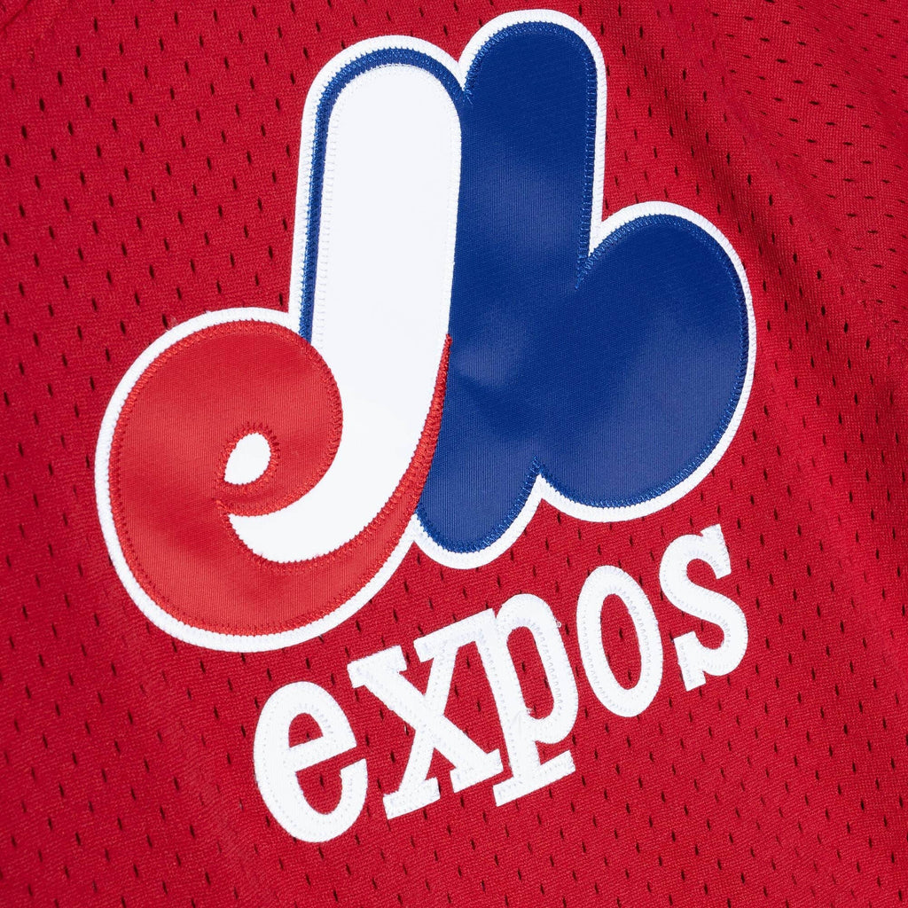Randy Johnson Montreal Expos MLB Mitchell & Ness Men Red Authentic BP Jersey product image 3, provided for visual reference