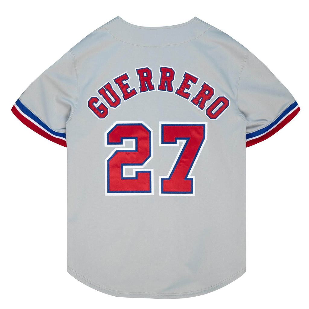 Vladimir Guerrero Montreal Expos MLB Mitchell & Ness Men Grey 1997 Authentic Jersey product image 2, provided for visual
