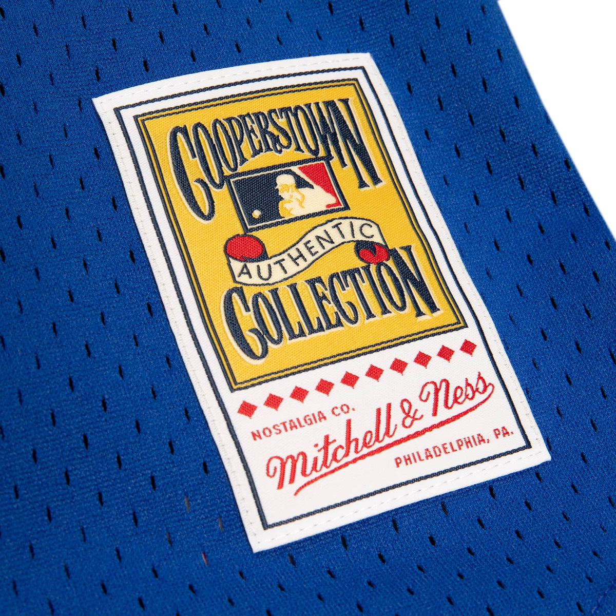 Vladimir Guerrero Montreal Expos MLB Mitchell & Ness Men Royal Blue 1997 Authentic BP Jersey product image 4, provided for