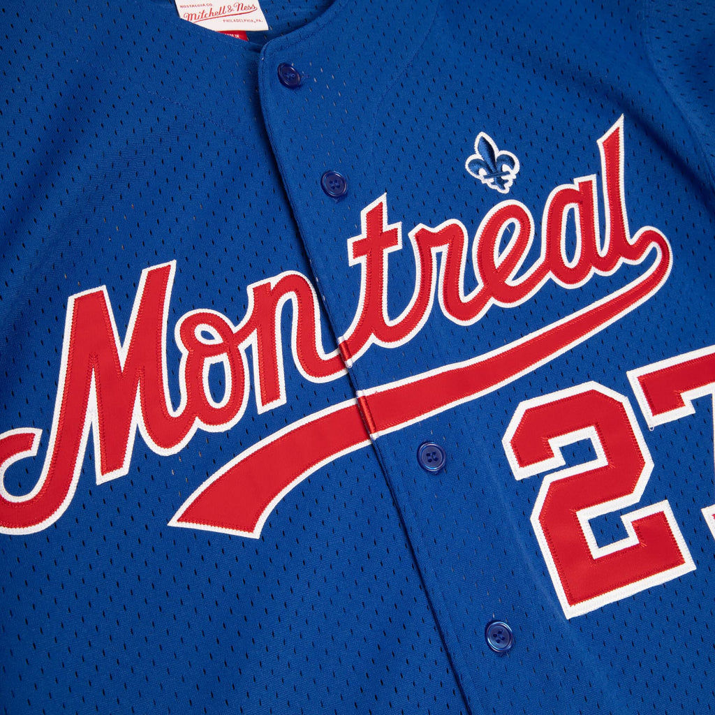Vladimir Guerrero Montreal Expos MLB Mitchell & Ness Men Royal Blue 1997 Authentic BP Jersey product image 3, provided for