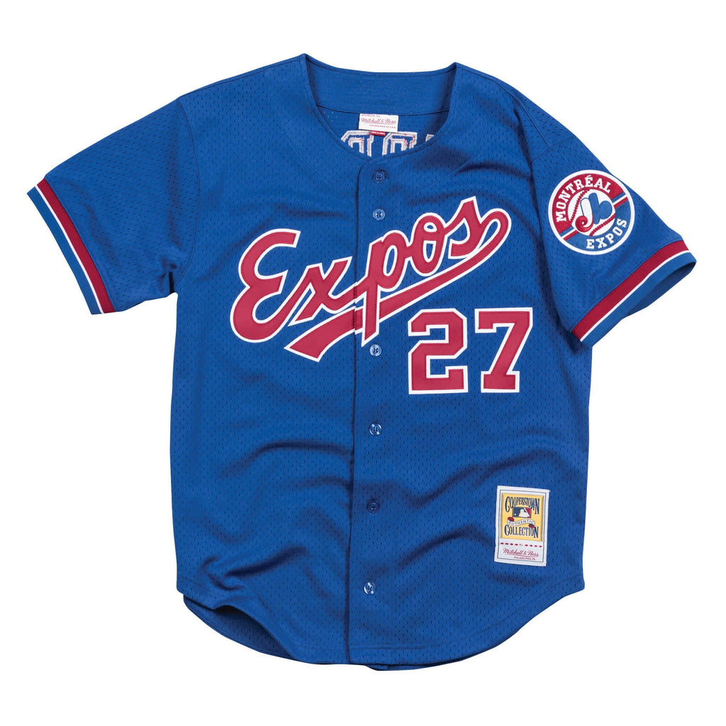 Vladimir Guerrero Montreal Expos MLB Mitchell & Ness Men Royal Blue 2002 Authentic BP Jersey product image 2, provided for