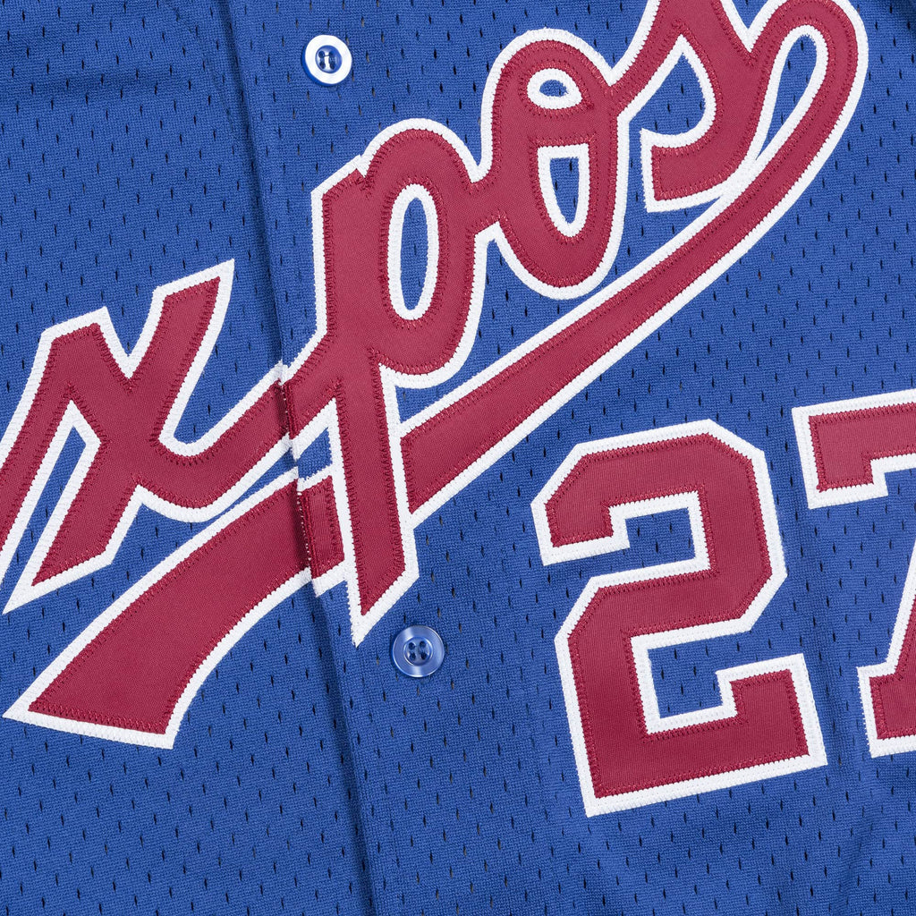 Vladimir Guerrero Montreal Expos MLB Mitchell & Ness Men Royal Blue 2002 Authentic BP Jersey product image 3, provided for