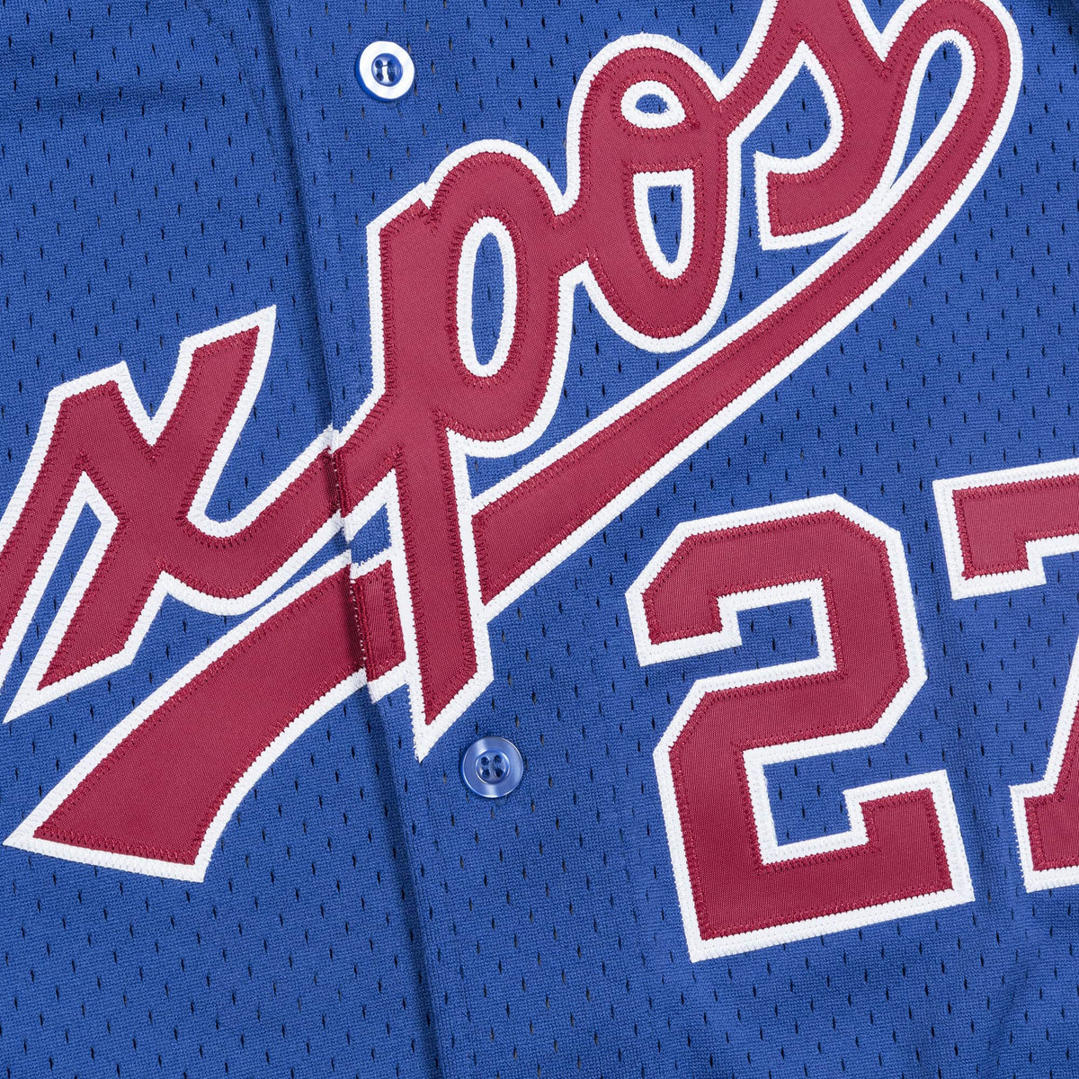 Vladimir Guerrero Montreal Expos MLB Mitchell & Ness Men Royal Blue 2002 Authentic BP Jersey product image 3, provided for
