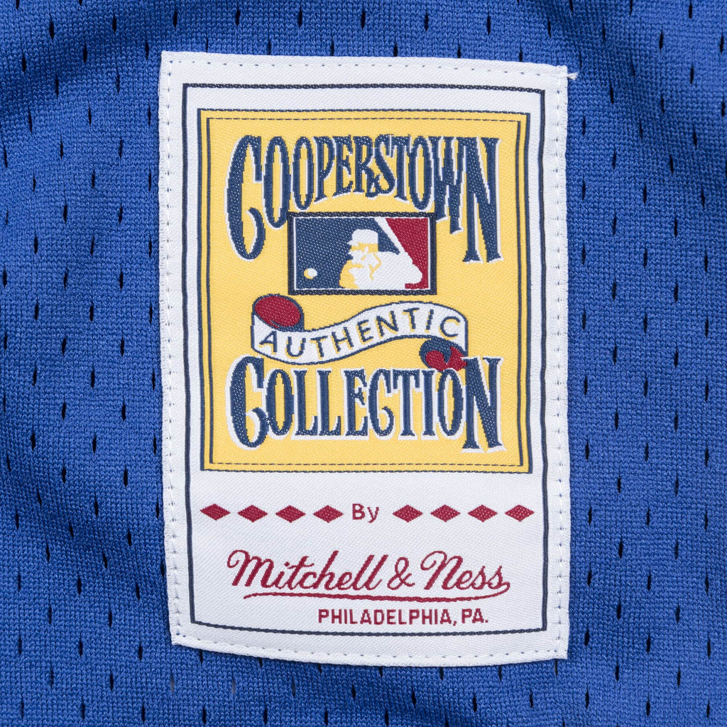Vladimir Guerrero Montreal Expos MLB Mitchell & Ness Men Royal Blue 2002 Authentic BP Jersey product image 5, provided for