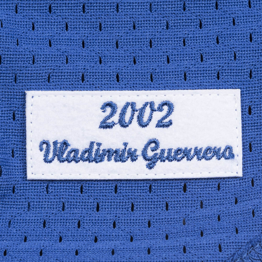 Vladimir Guerrero Montreal Expos MLB Mitchell & Ness Men Royal Blue 2002 Authentic BP Jersey product image 6, provided for